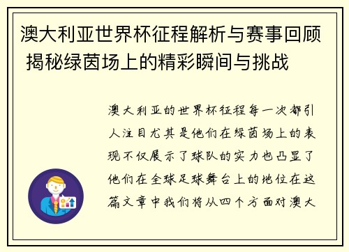 澳大利亚世界杯征程解析与赛事回顾 揭秘绿茵场上的精彩瞬间与挑战